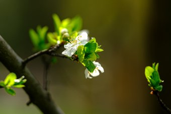 Ezt tartogatja hétvégére az időjárás