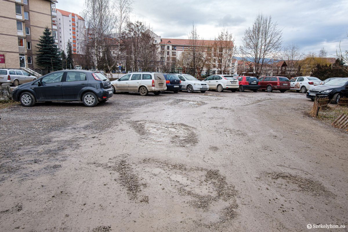 •  Fotó: Veres Nándor