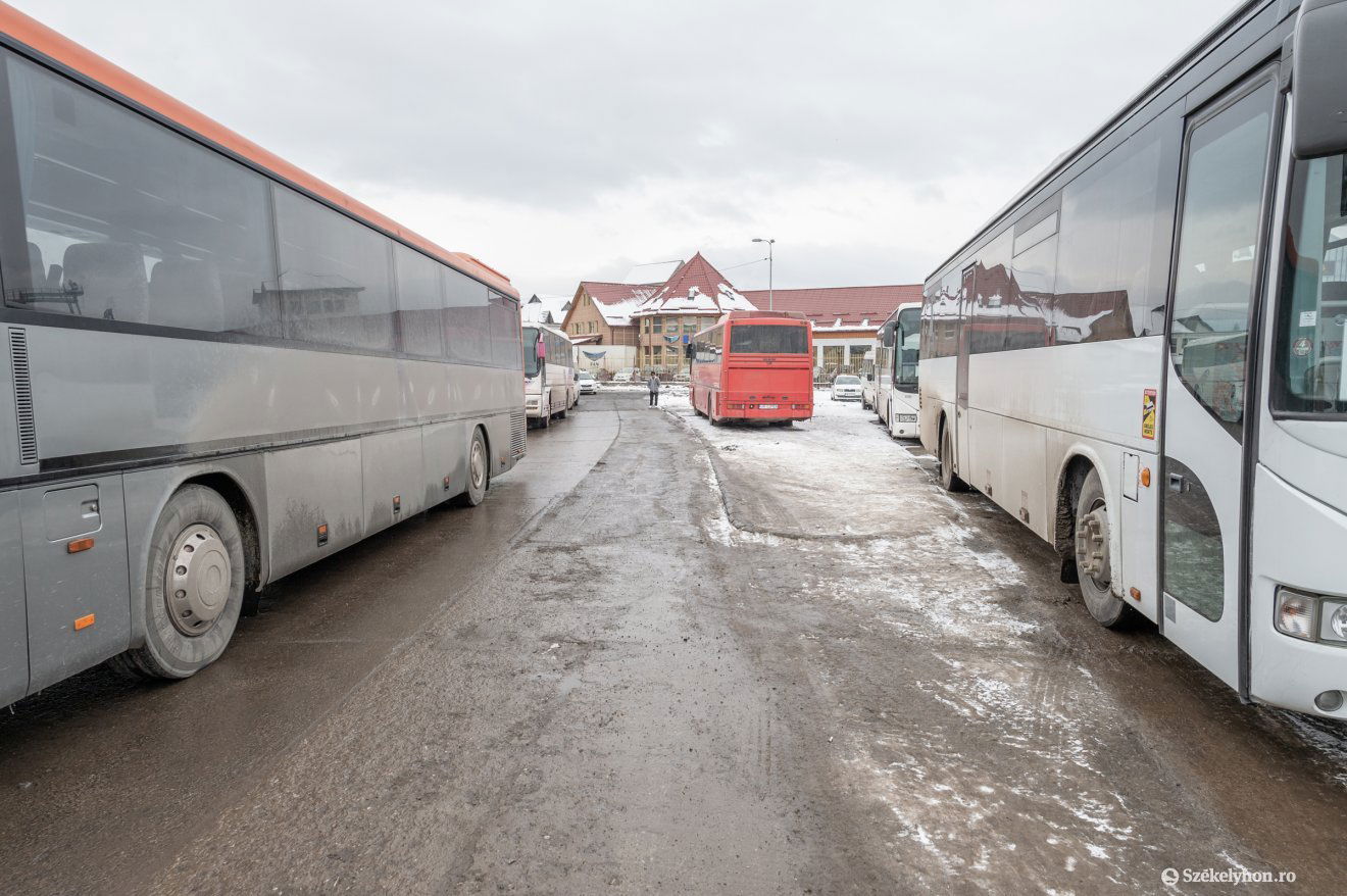 Fel lehet szállni. Csak nem mindegy, ki fizeti: a diák családja, a busztársaság vagy a tanügyminisztérium. Képünk illusztráció •  Fotó: Pinti Attila