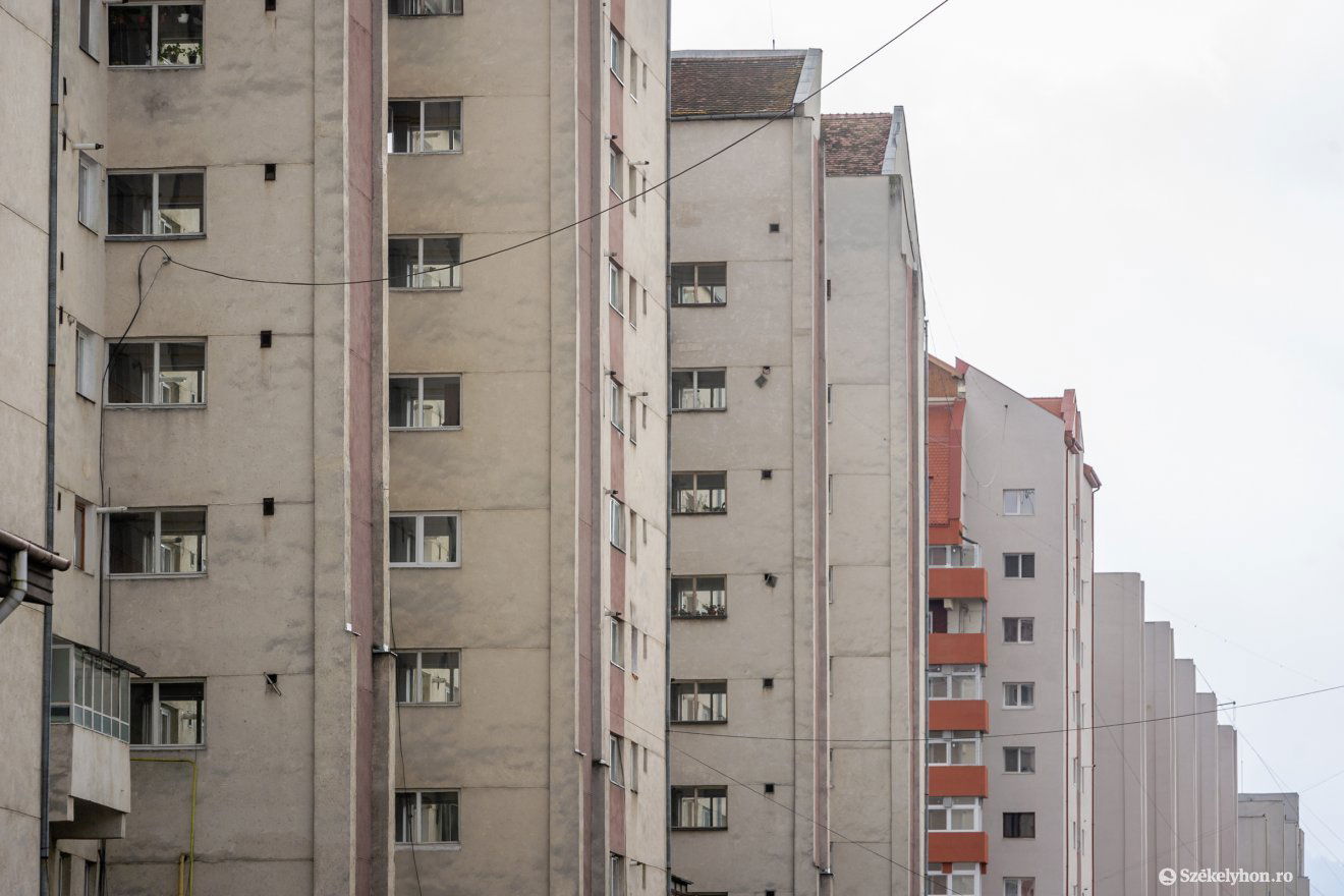 Képünk illusztráció •  Fotó: Pinti Attila