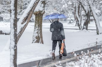 Hóhelyzet Székelyföldön: karácsonyra ilyent szeretnénk, de most húsvét jön