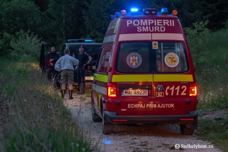 Medve támadott meg egy zágonbárkányi férfit