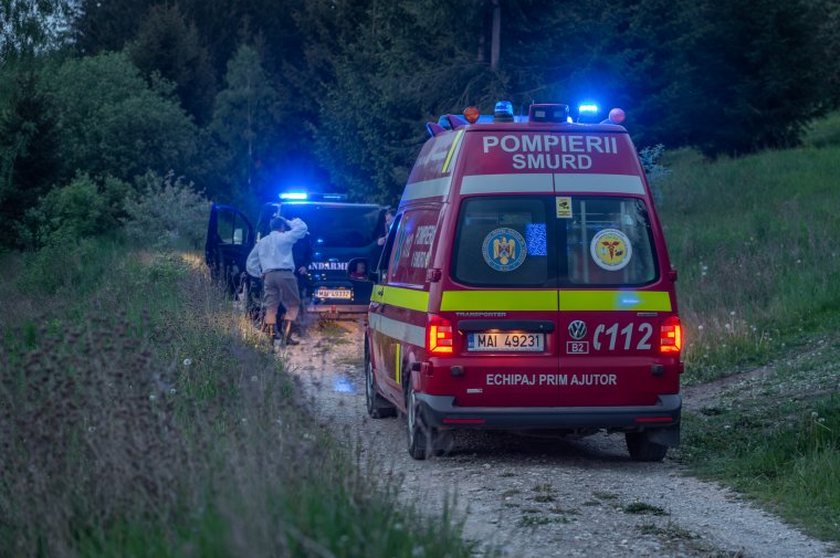Medve először a benzinkút közelében, majd a mentőszolgálatnál