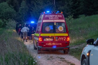 „Medvementesítették” Csíksomlyót, ám este ismét nagyvad jelenlétét jelezték a RO-Alerten