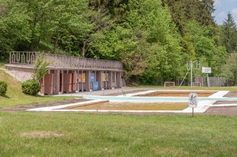 Medve jár a zsögödi strandnál