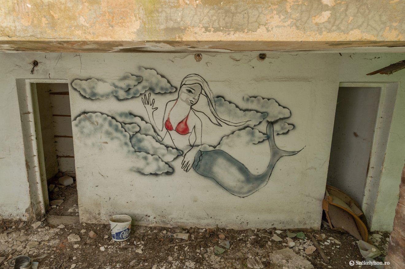 •  Fotó: Pinti Attila