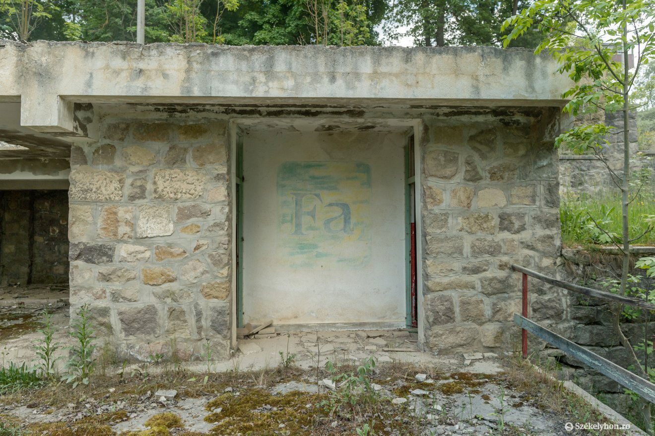 •  Fotó: Pinti Attila