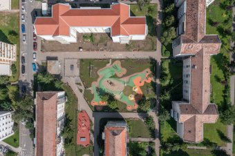 A béka összehozza a gyerekeket és a felnőtteket