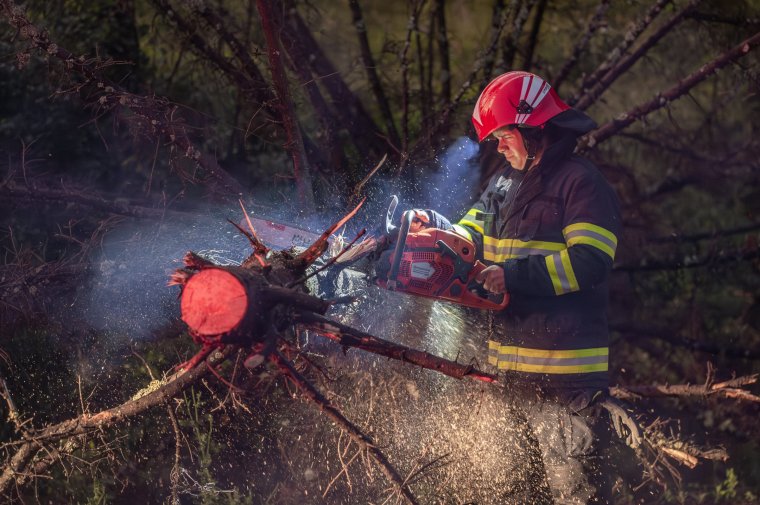 Autóra zuhant egy fa Marosvásárhelyen