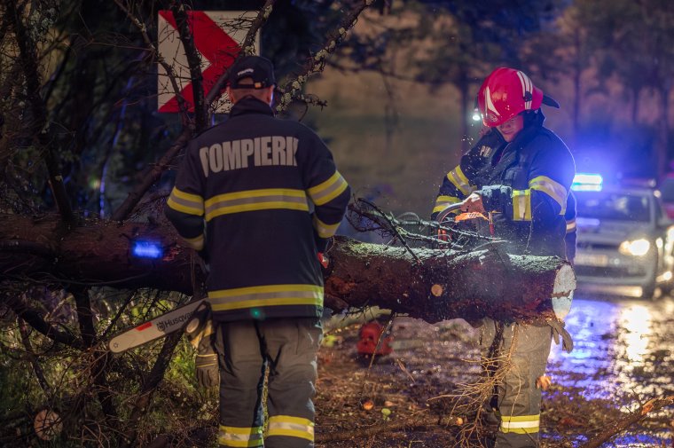 Fák is kitörtek a Csíkszéken átvonuló viharban