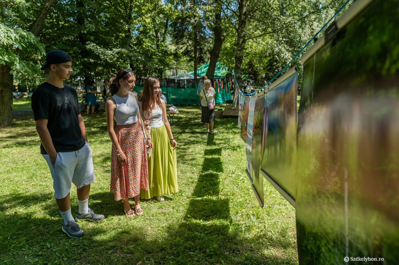 •  Fotó: Pinti Attila