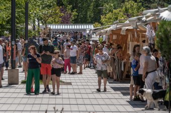 Csapatépítő pityókával – pezsegnek a Csíkszeredai Városnapok