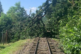 Fákat döntött ki a vihar Szovátán