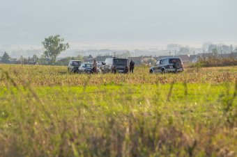 Udvarokra betörő medvéket kellett elkergetni