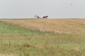 Húszéves a mezőgazdasági életjáradék, száz alá csökkent a jogosultak száma