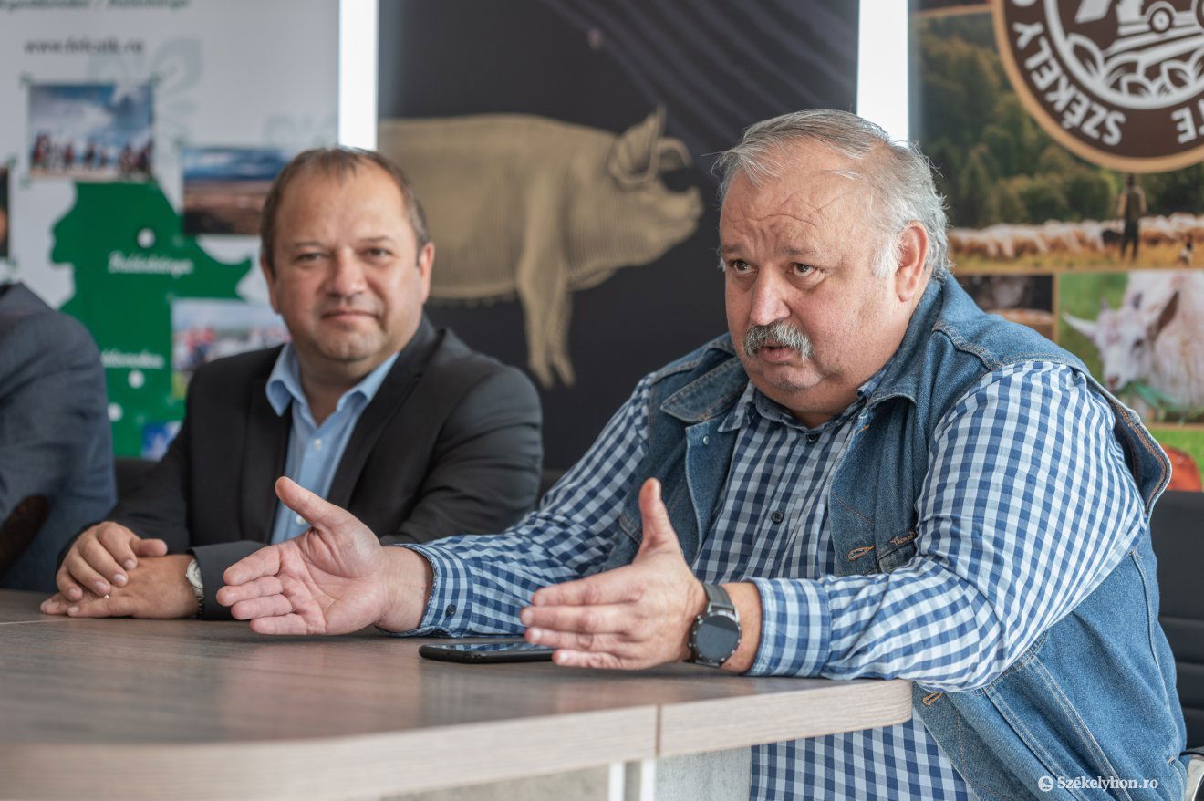 Gábor Tibor •  Fotó: Pinti Attila