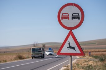 Nem jár kártérítés, ha van kihelyezve vadveszélyre figyelmeztető tábla