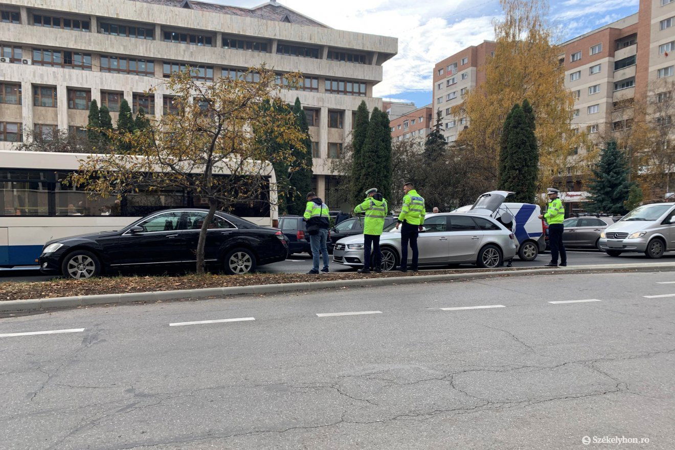 •  Fotó: Borbély Fanni