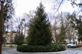 Karácsonyváró programok Csíkszeredában, visszafogott díszkivilágítással