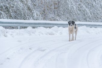Lehavazott a hegyekben és a hegyközi medencékben