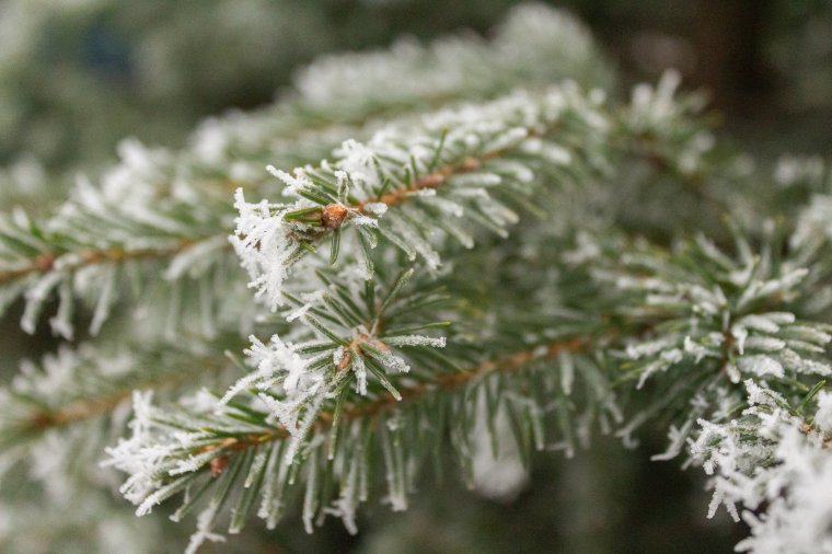 Fagykoszorúban Erdély március 15. reggelén