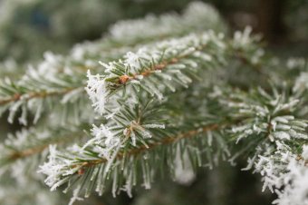Fagykoszorúban Erdély március 15. reggelén