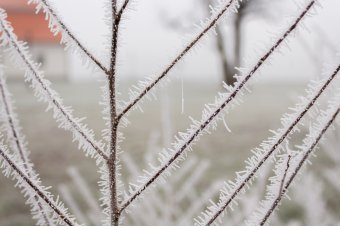 Az ország egy települése sem tudott Bodzafordulóval vetekedni