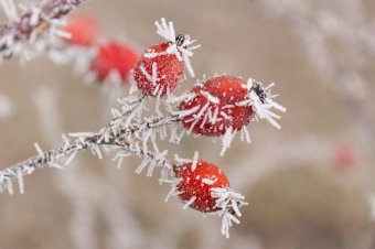 Kézdivásárhely volt Székelyföld leghidegebb pontja