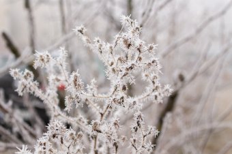Vasúti sínek törtek el a nagy hideg miatt több romániai megyében és a főváros környékén