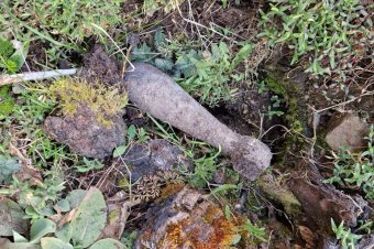Kerti munka közben bukkant a robbanóeszközre