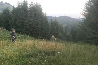 Összefogtak a rendőrök, tűzoltók és civilek, megtalálták a Gyimesekben eltűnt idős férfit