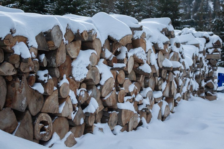 Húszezer lejes bírság, 40 ezer lejt meghaladó elkobzás – fafeldolgozókat ellenőrzött a rendőrség