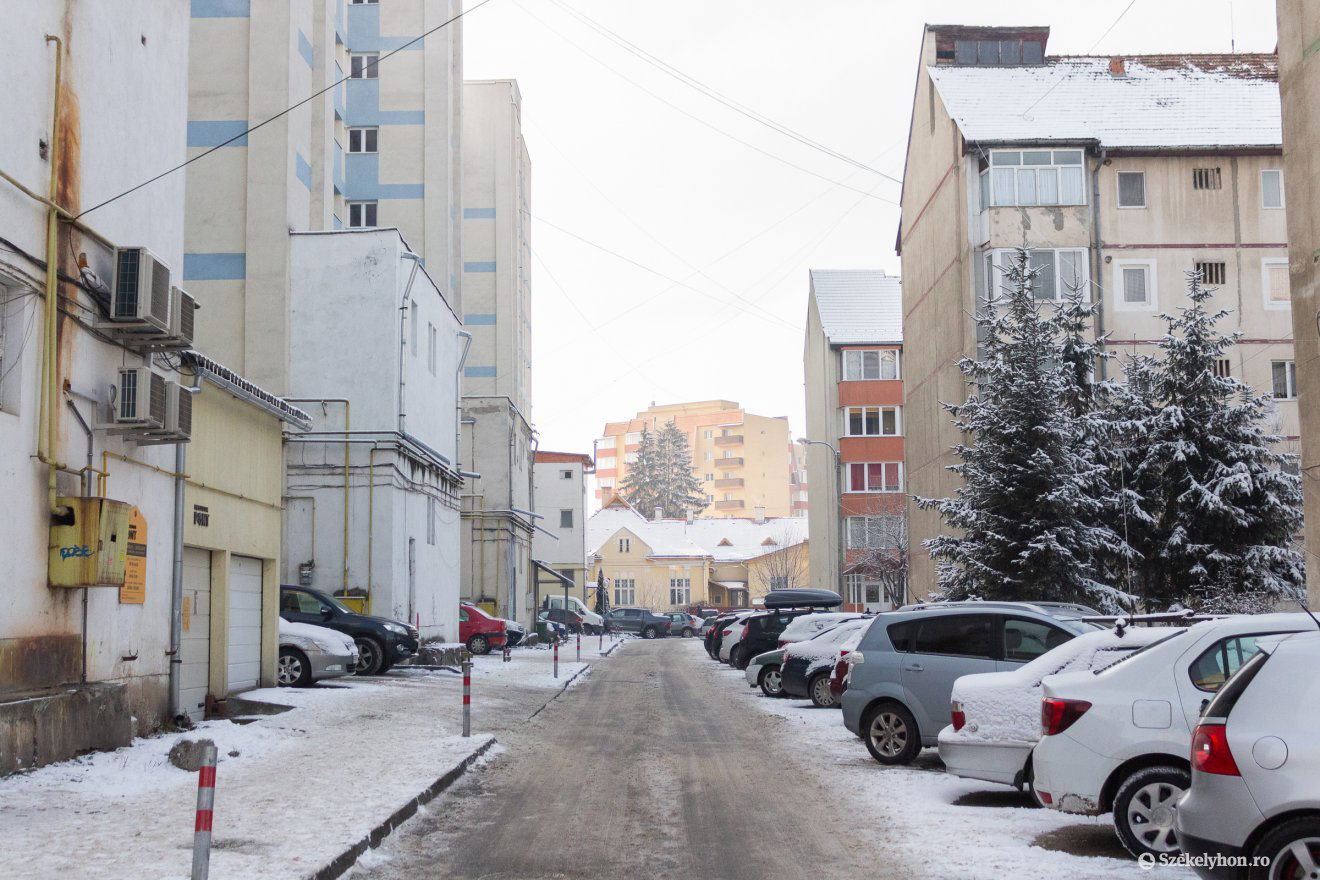 •  Fotó: Borbély Fanni