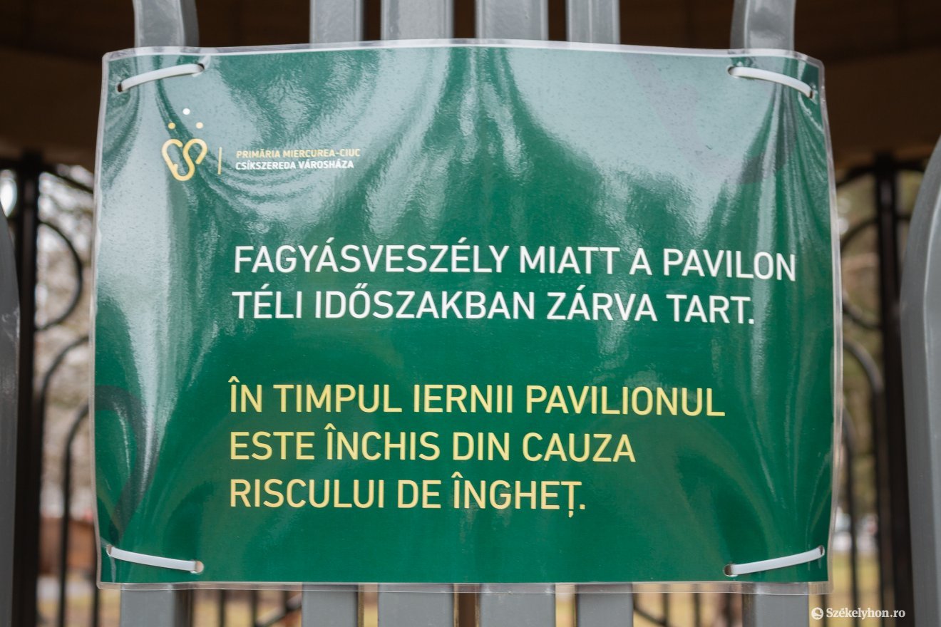 Február, hol a nyár? •  Fotó: Borbély Fanni