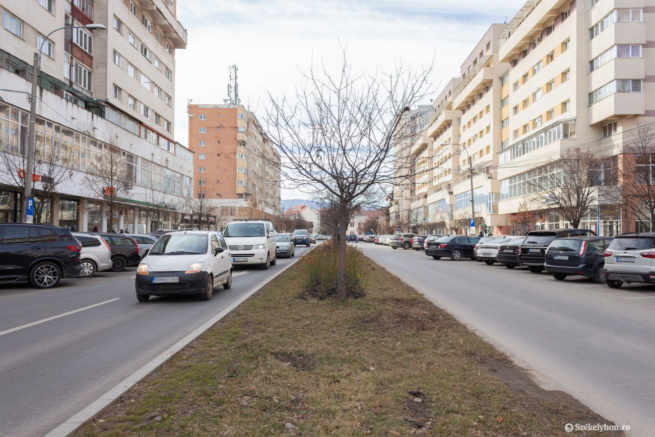 •  Fotó: Borbély Fanni