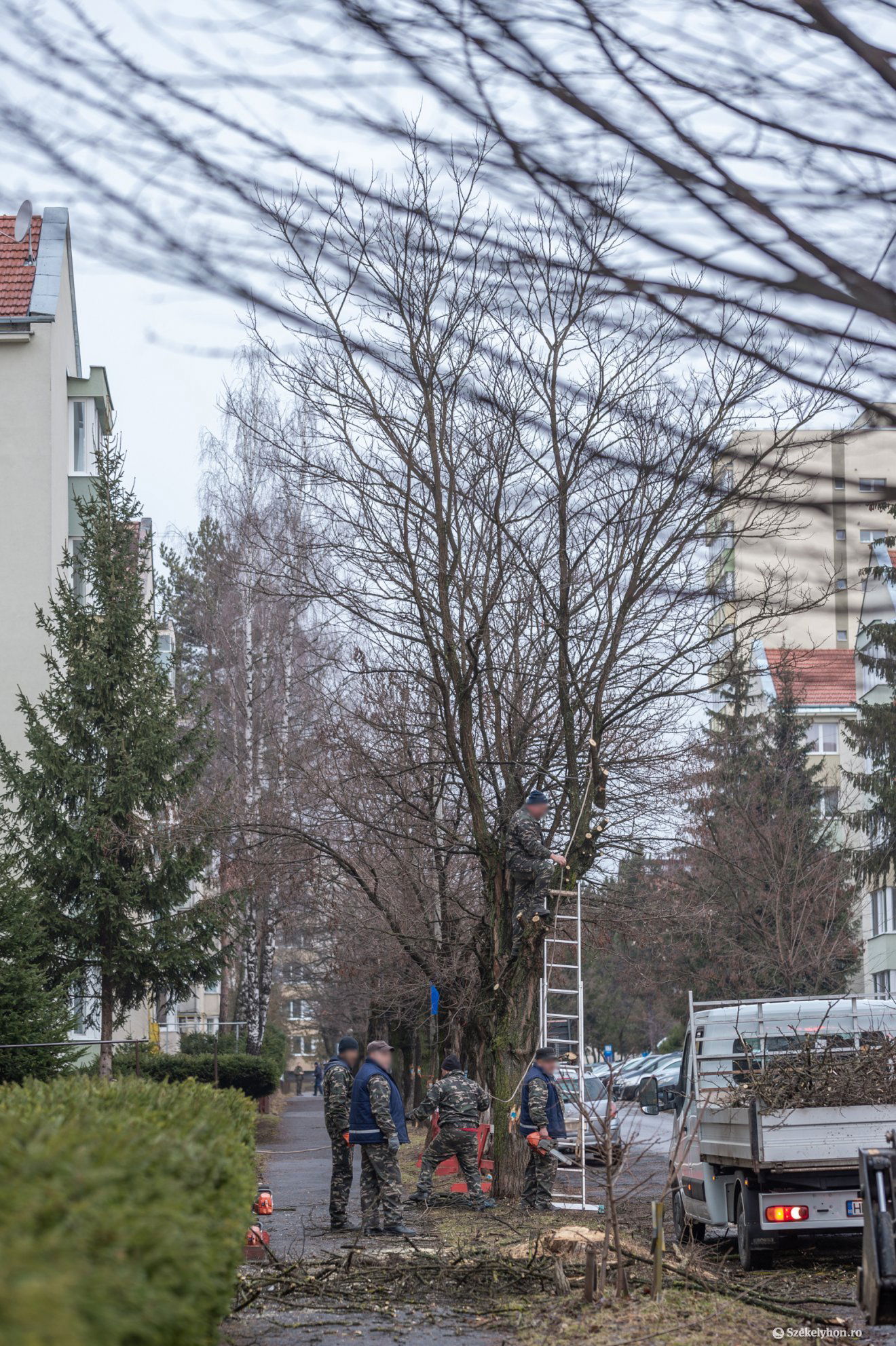 •  Fotó: Pinti Attila