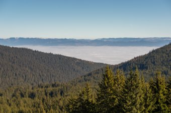 Sűrű köd van a székelyföldi megyékben