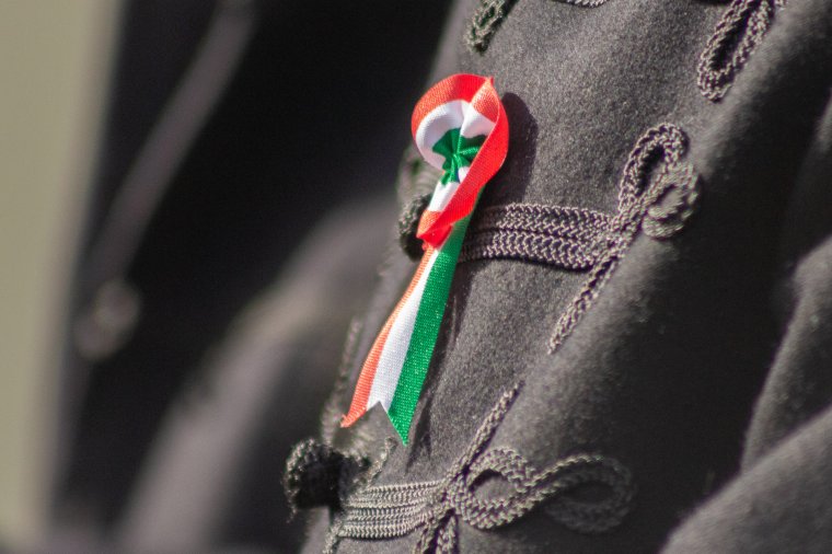Akinek a korcs magyar szó nem fáj, hazaáruló