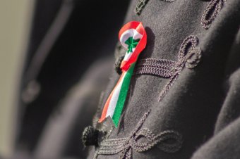 Akinek a korcs magyar szó nem fáj, hazaáruló