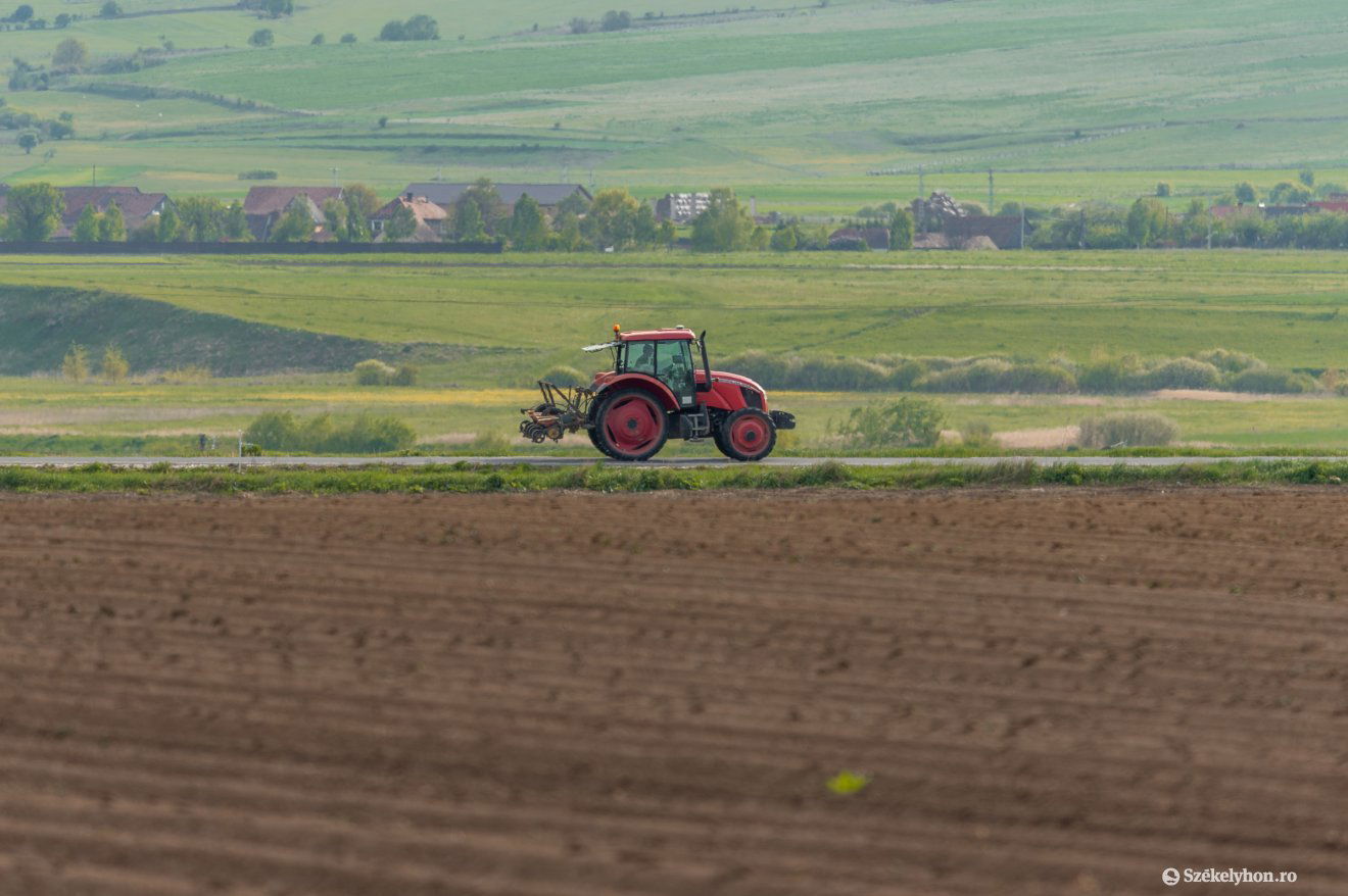 Nem a birtoknagyság, hanem a rászorultság határozná meg, ki mennyi terület alapú támogatást kap •  Fotó: Pinti Attila