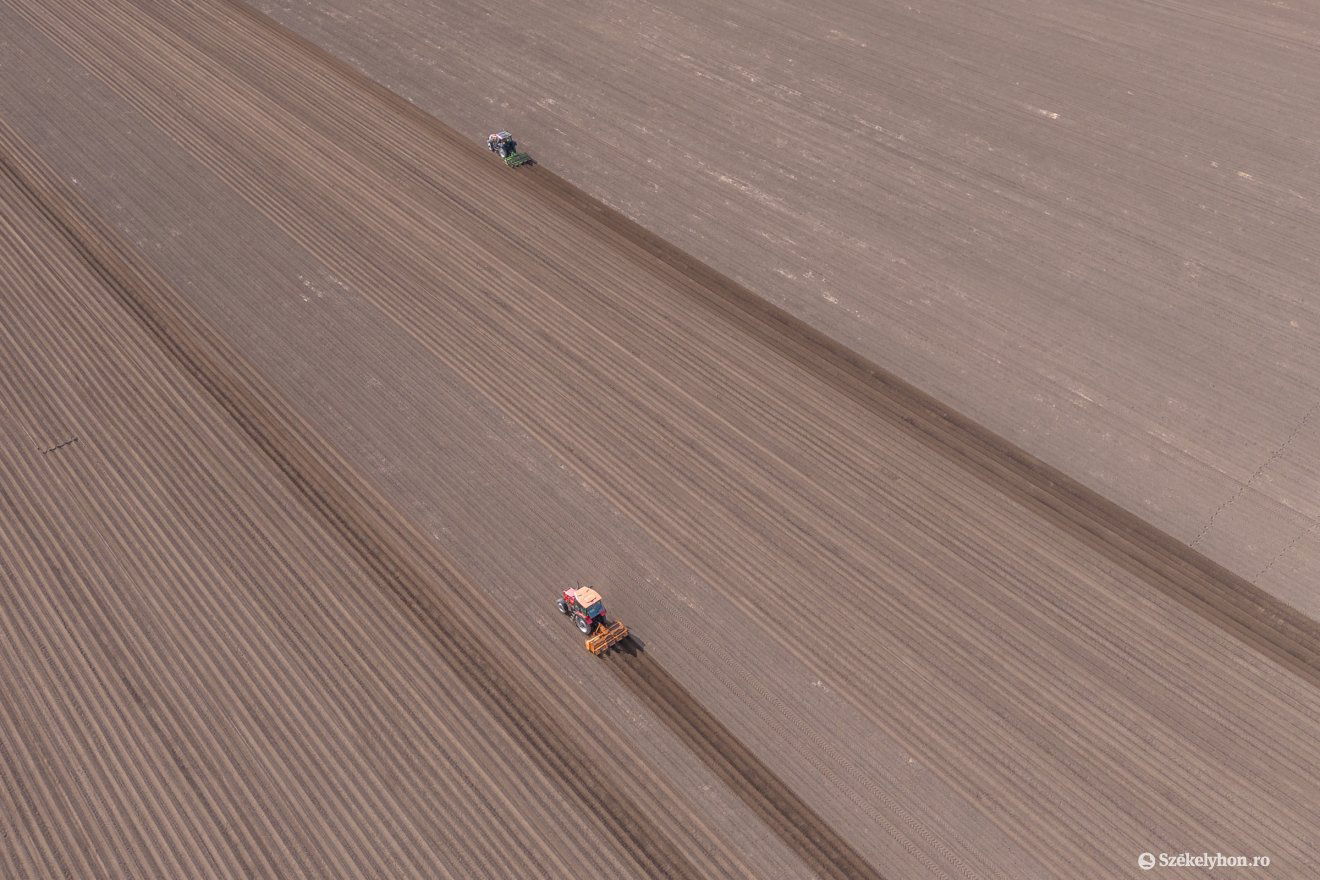Munkára fel, hogy meglegyen a betevő. Mezőgazdasági gépek Alcsíkon •  Fotó: Pinti Attila