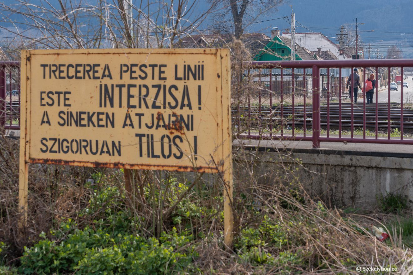 •  Fotó: Pinti Attila