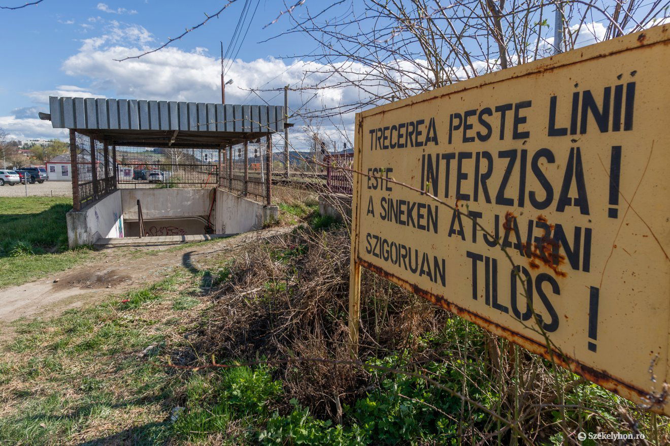 •  Fotó: Pinti Attila