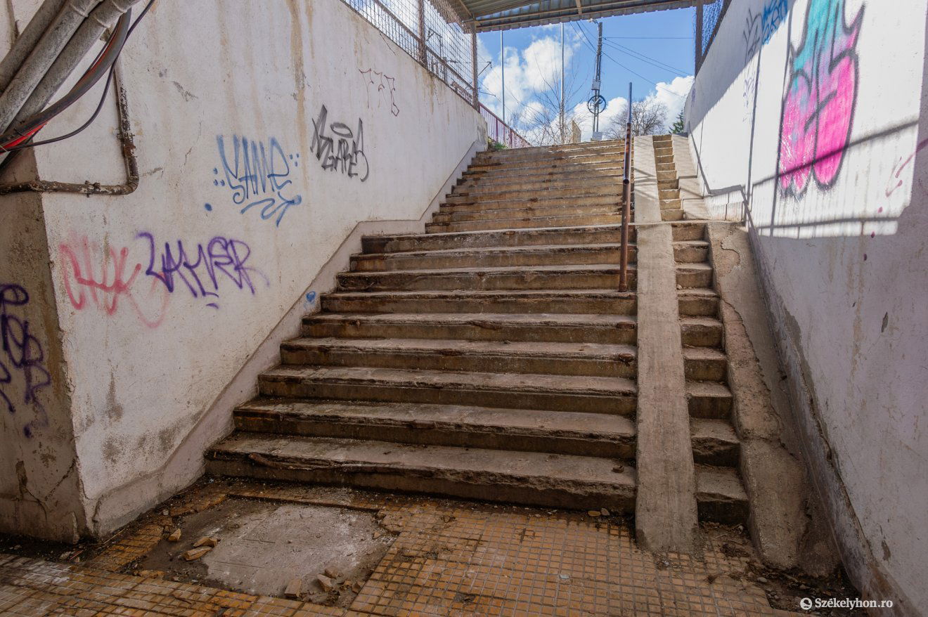 •  Fotó: Pinti Attila