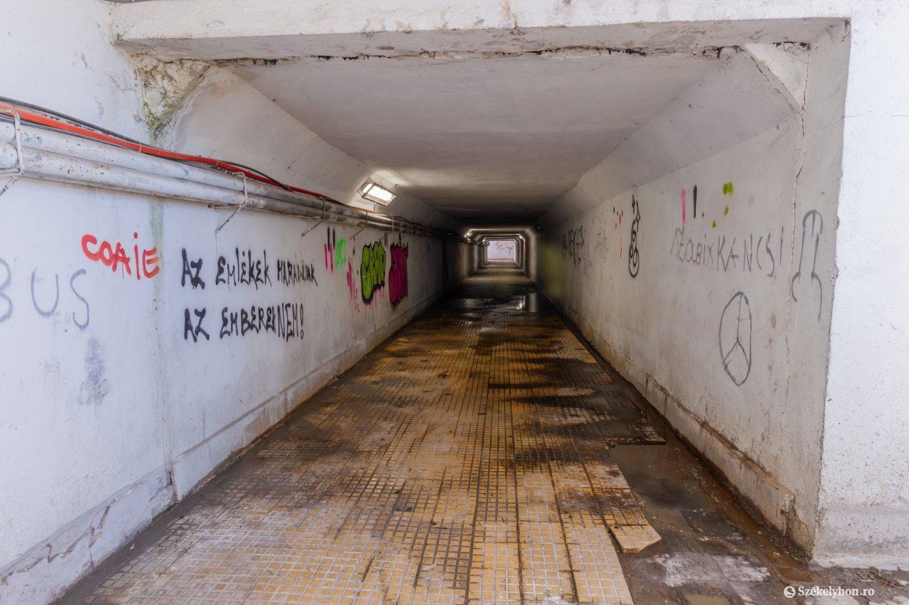 •  Fotó: Pinti Attila