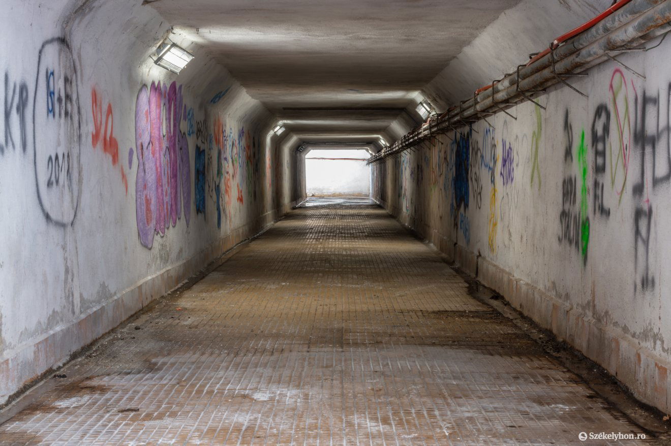 •  Fotó: Pinti Attila