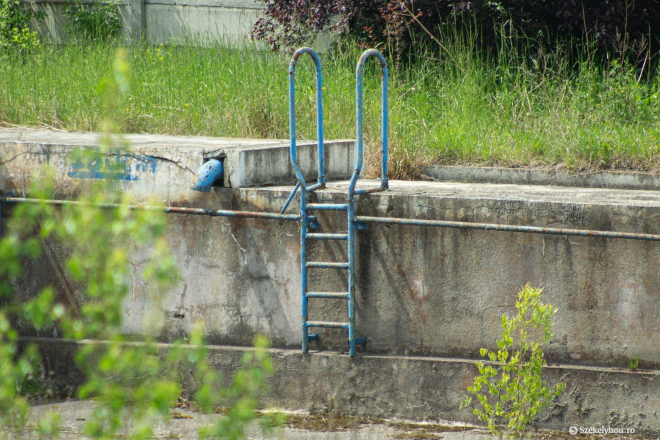 •  Fotó: Borbély Fanni