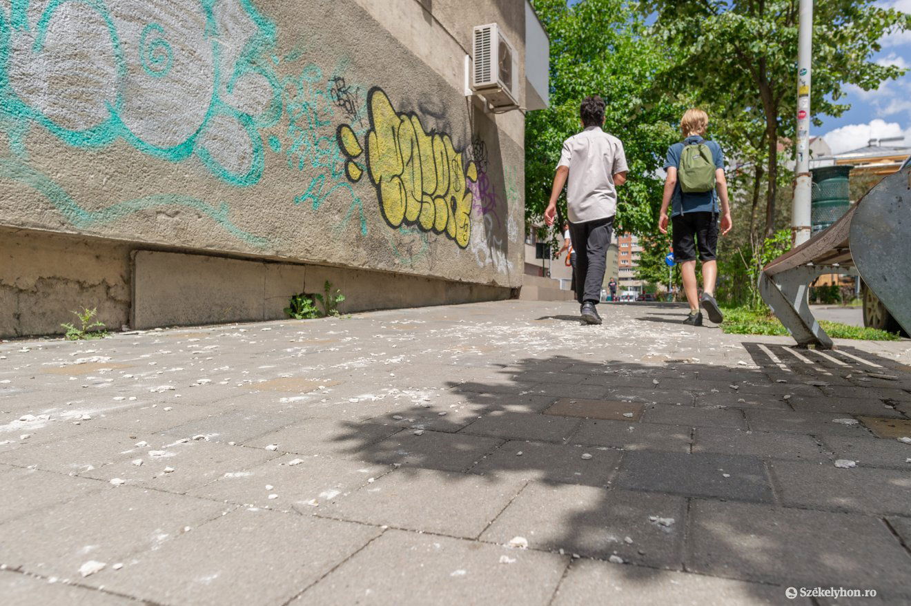•  Fotó: Pinti Attila