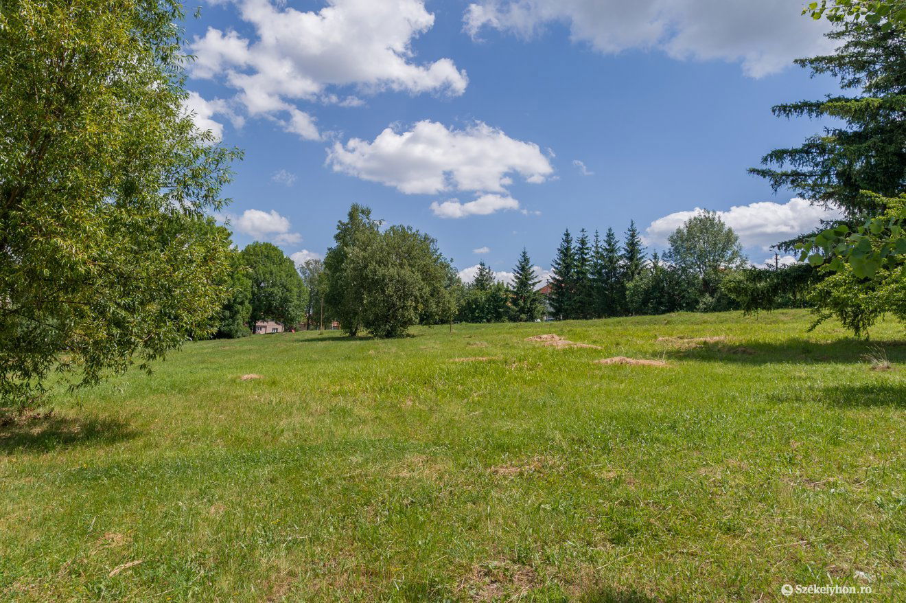 A mostani park látképe, a felújítás után rendezettebb képet mutatna •  Fotó: Pinti Attila