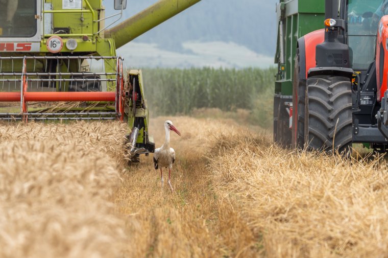 Az Európai Bizottság elvenné az agrártámogatások egy részét, a romániai gazdaszervezetek is aláírásgyűjtésbe fogtak